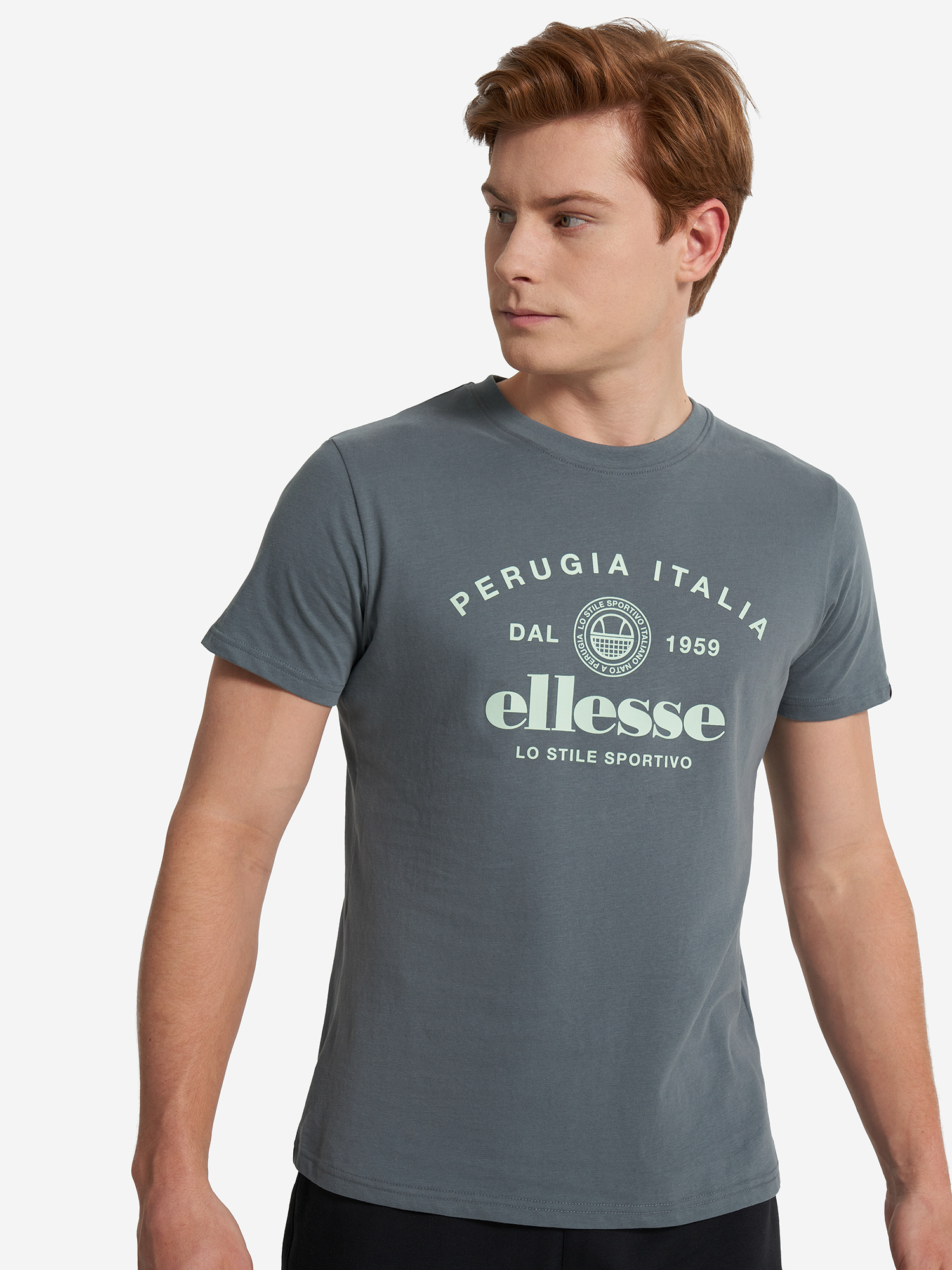 Футболка мужская Ellesse Серый