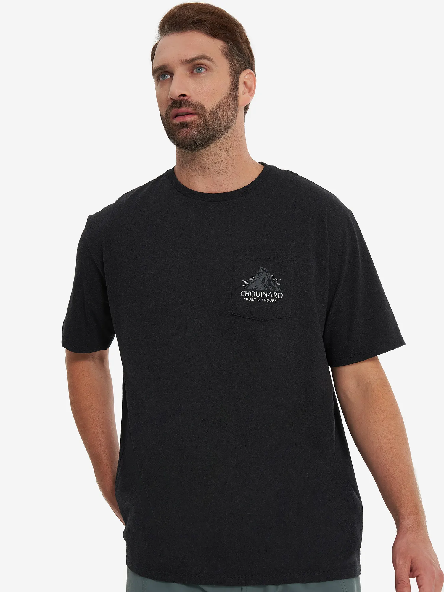 Футболка мужская Patagonia Chouinard Crest Черный