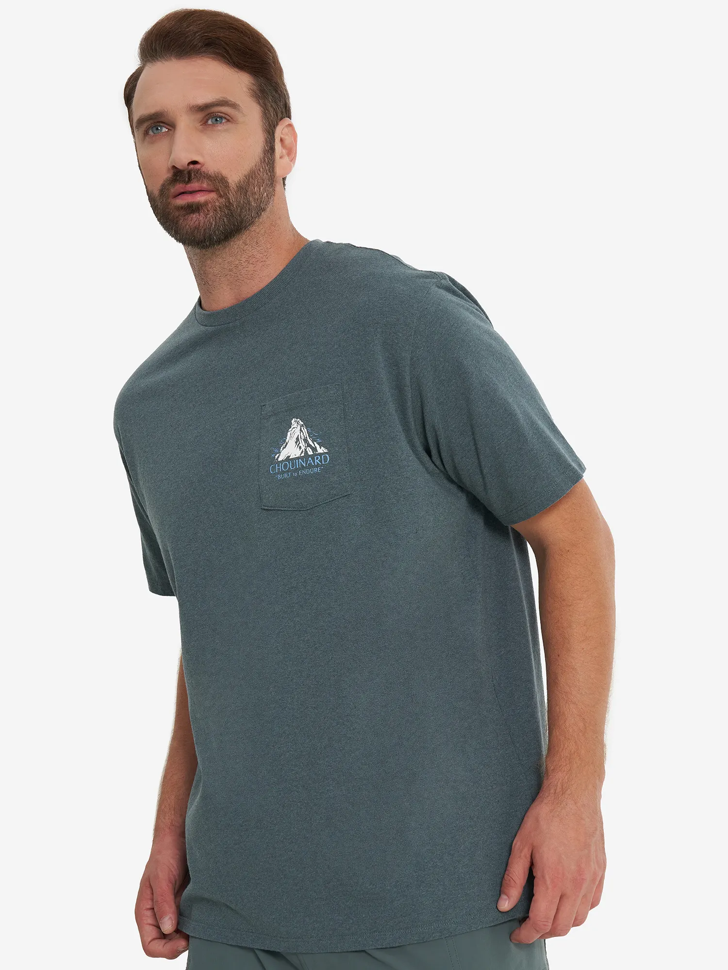 Футболка мужская Patagonia Chouinard Crest Зеленый