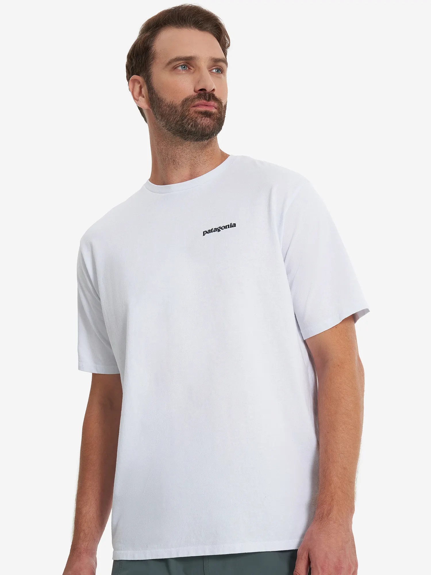 Футболка мужская Patagonia Logo Белый