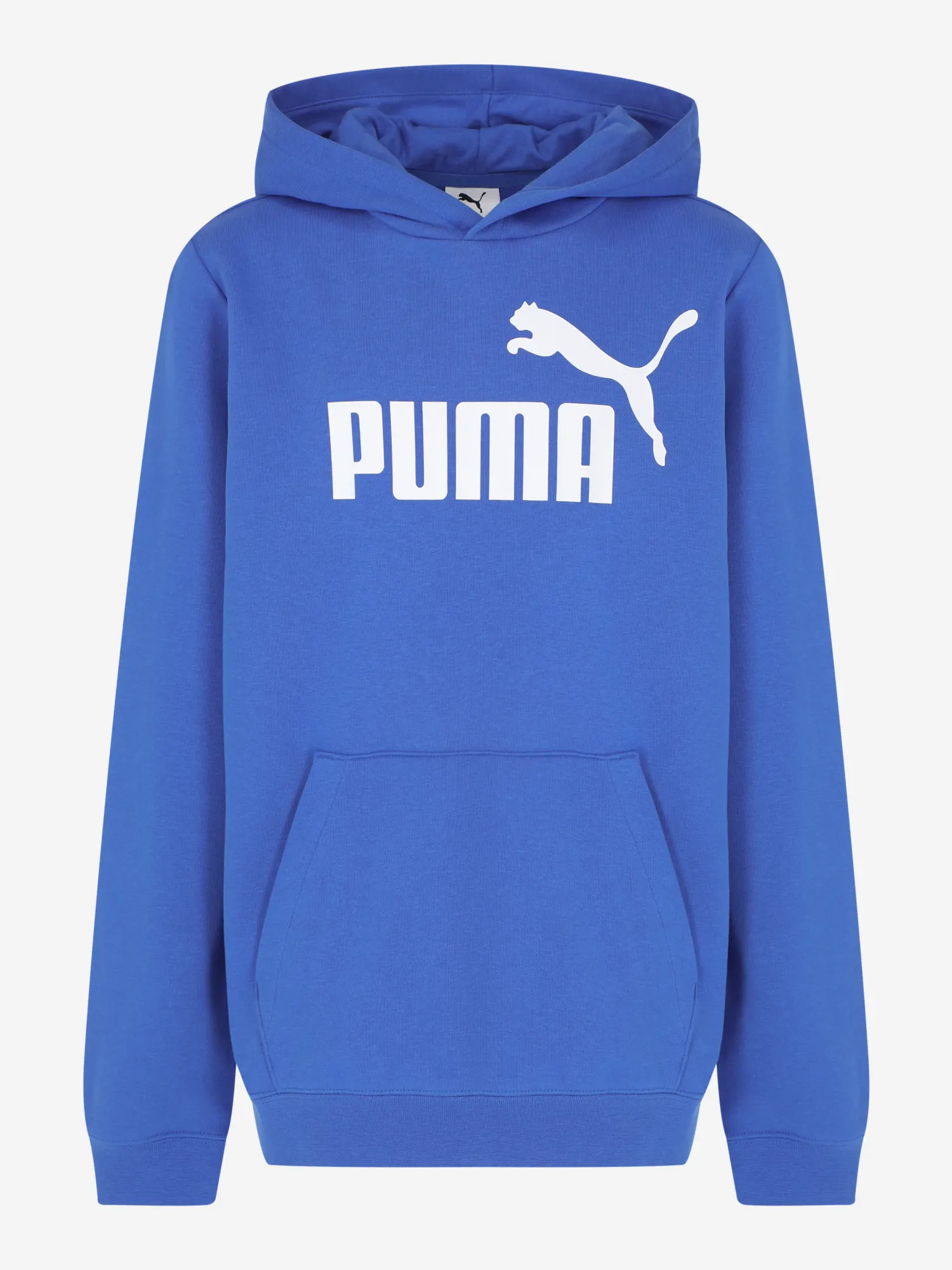 Худи детское PUMA Ess Голубой