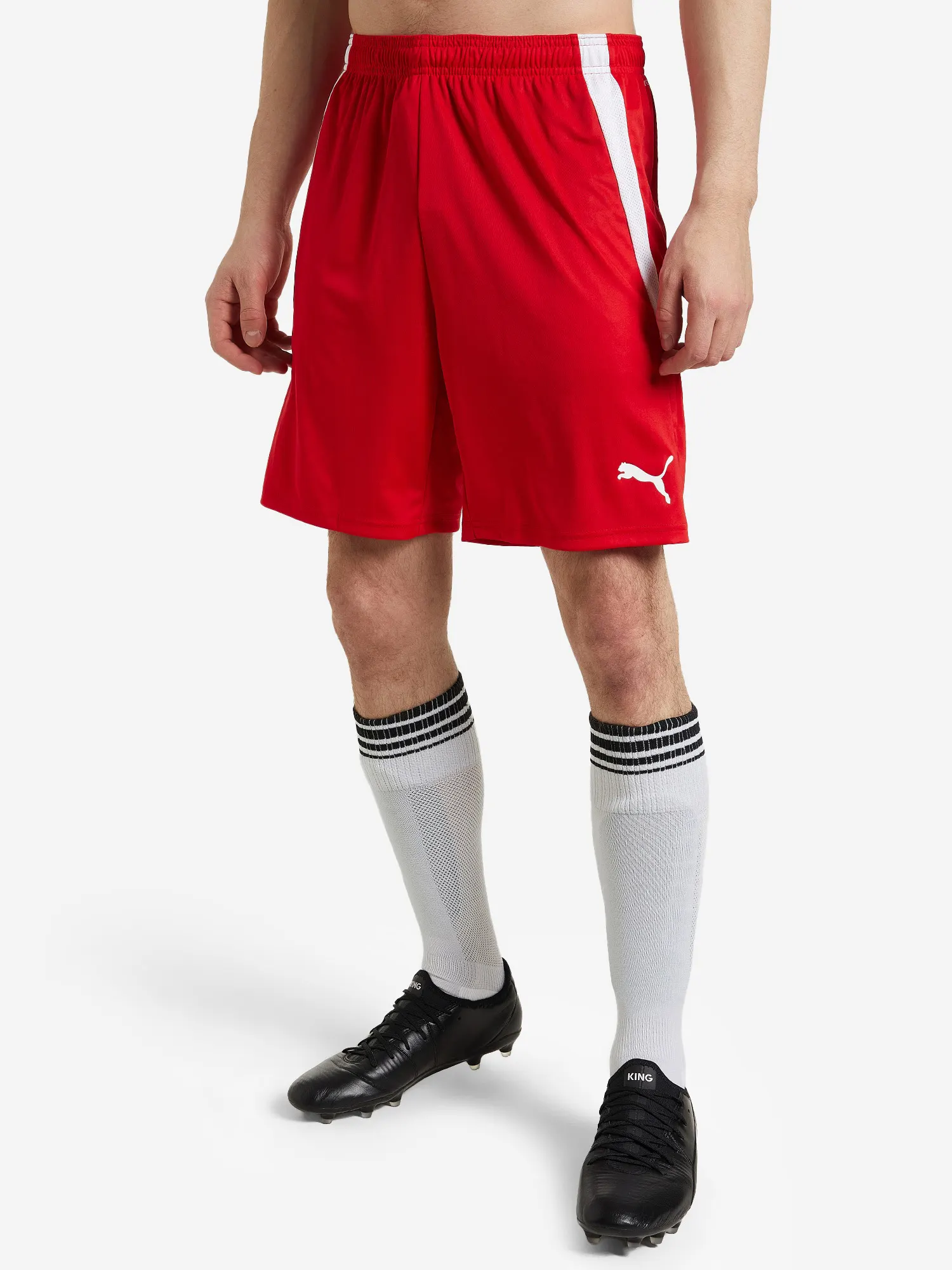 Шорты мужские PUMA teamLIGA Красный
